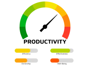 Corporate productivity expert productivity gauge showing the 4 vectors: efficiency, effectiveness, ownership, and well-being