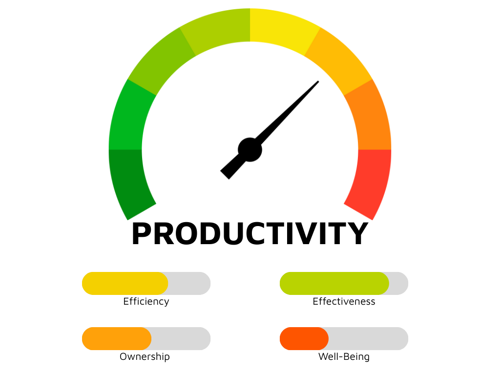 An image of the 4 vectors of productivity as progress bars and a gauge for total productivity