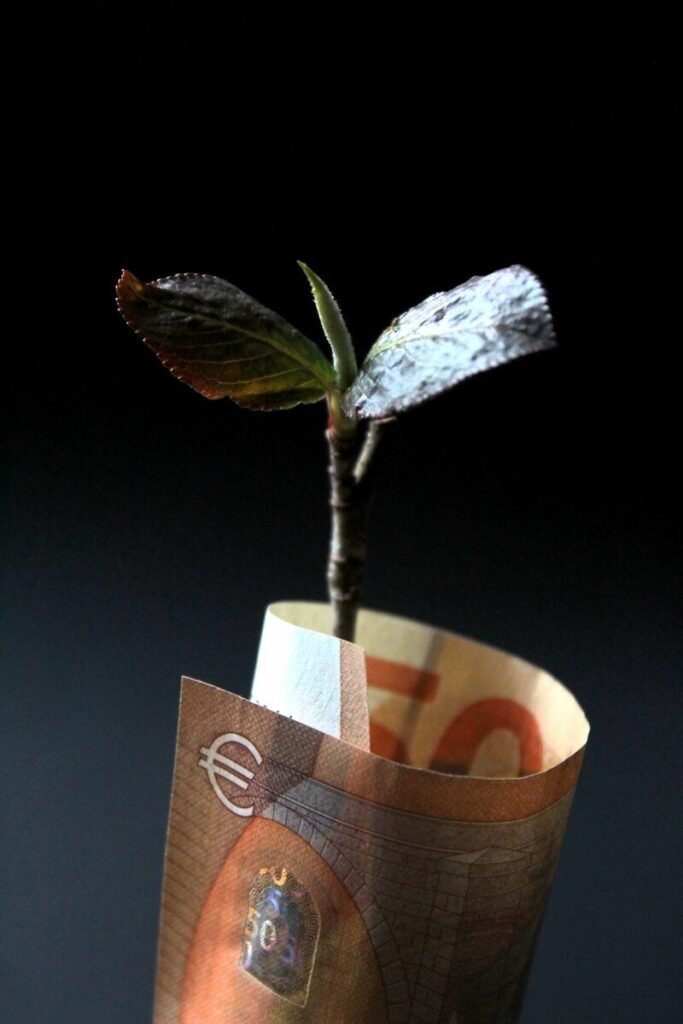 A bank note and a plant growing inside indicating that investment is needed for growht